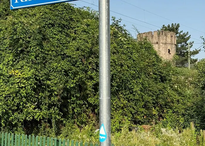 Trexico-city * Trechtingshausen